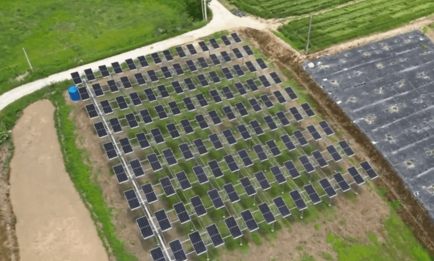 영농형 태양광 실제 사례 01