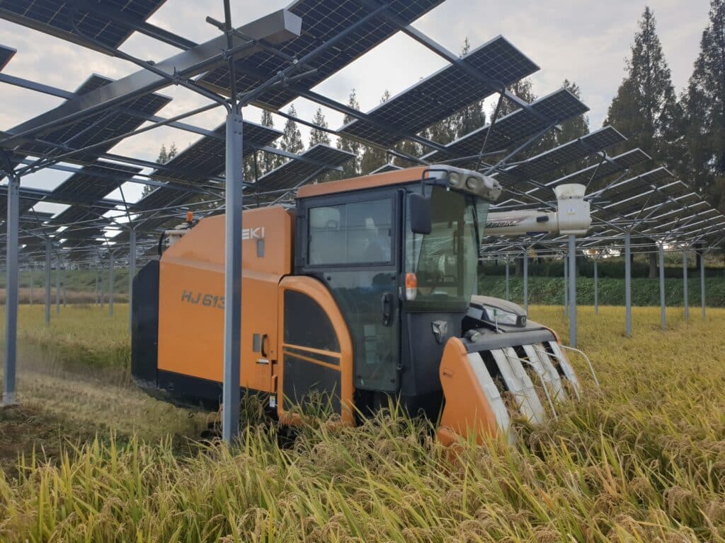 영농형 태양광 실제 사례 02