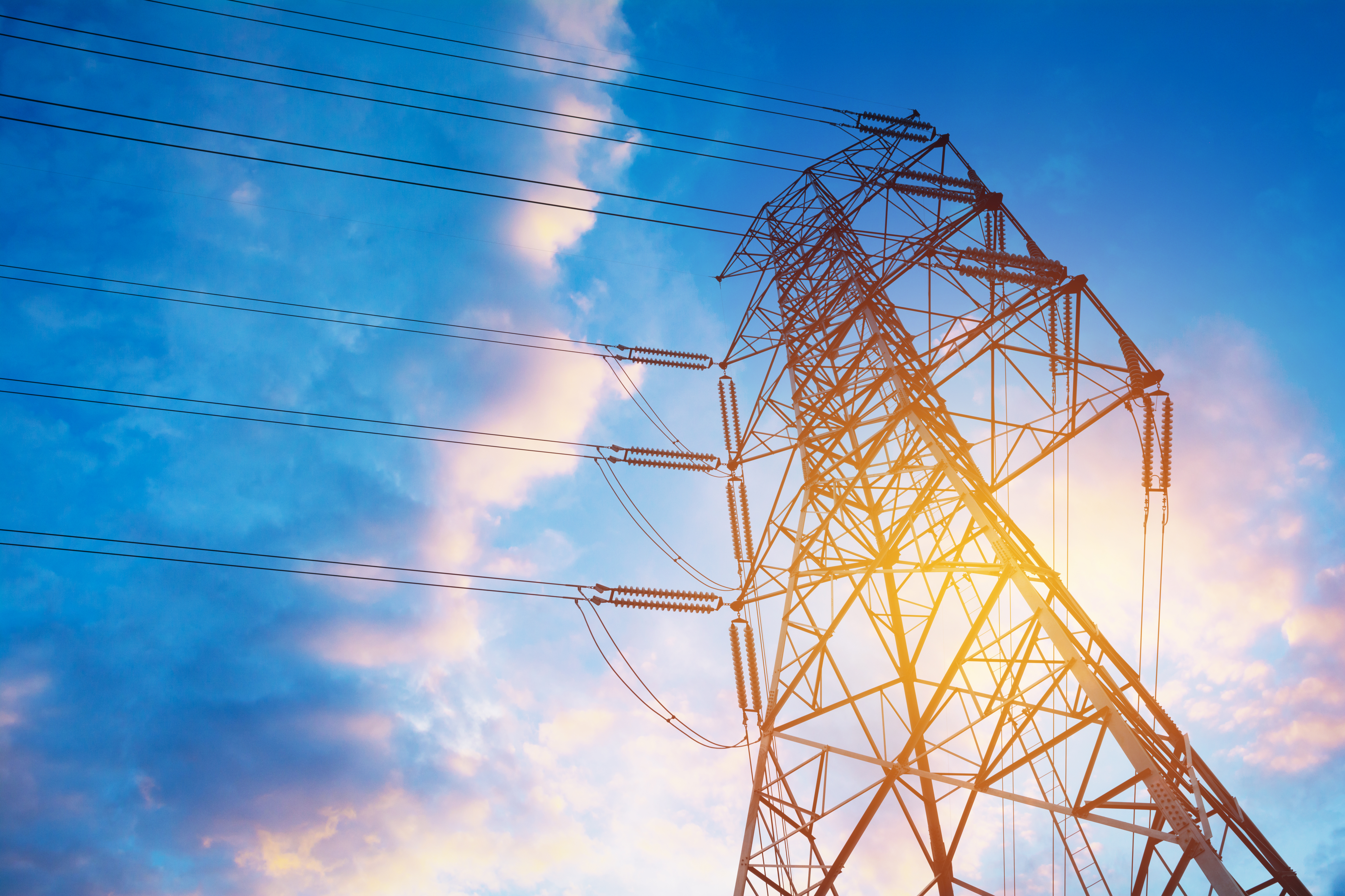 RPS 사업 참여
지금 바로 시작